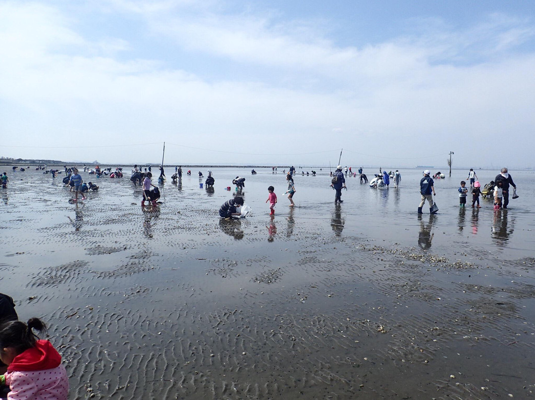 Futtsu Beach-富津市必去景点
