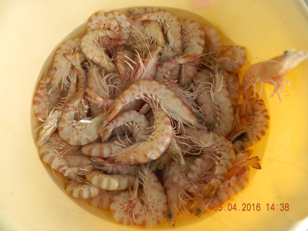 Mouansa Synagogue-Zarzis必去景点