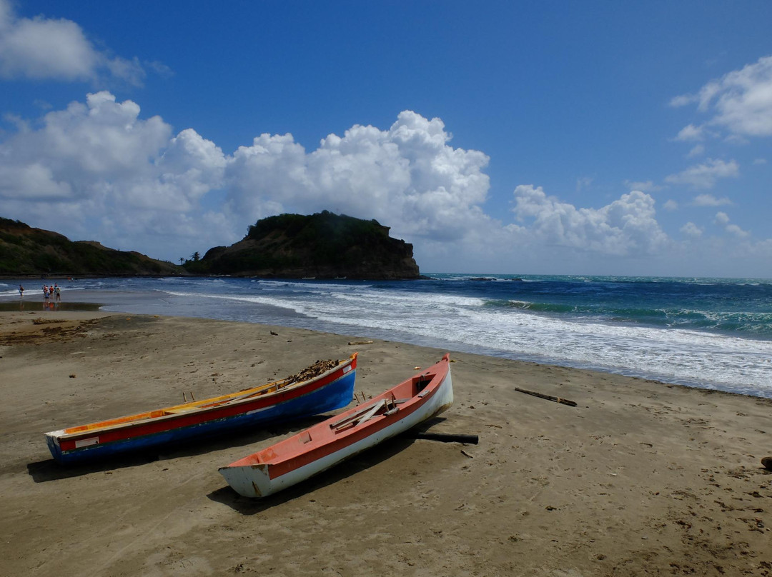 Domaine de Sainte Marie主图
