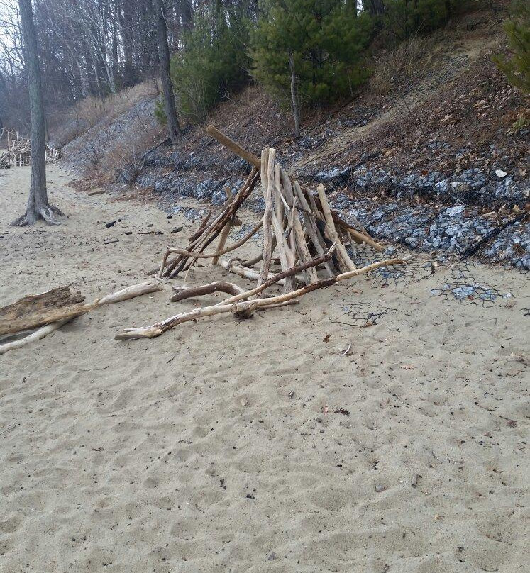 Leddy Park-伯灵顿必去景点