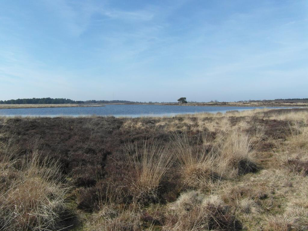 Hijkerveld景点图片