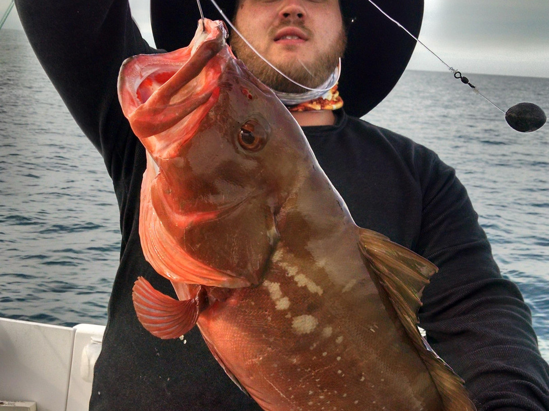 On Another Plane Charter-Hernando Beach必去景点