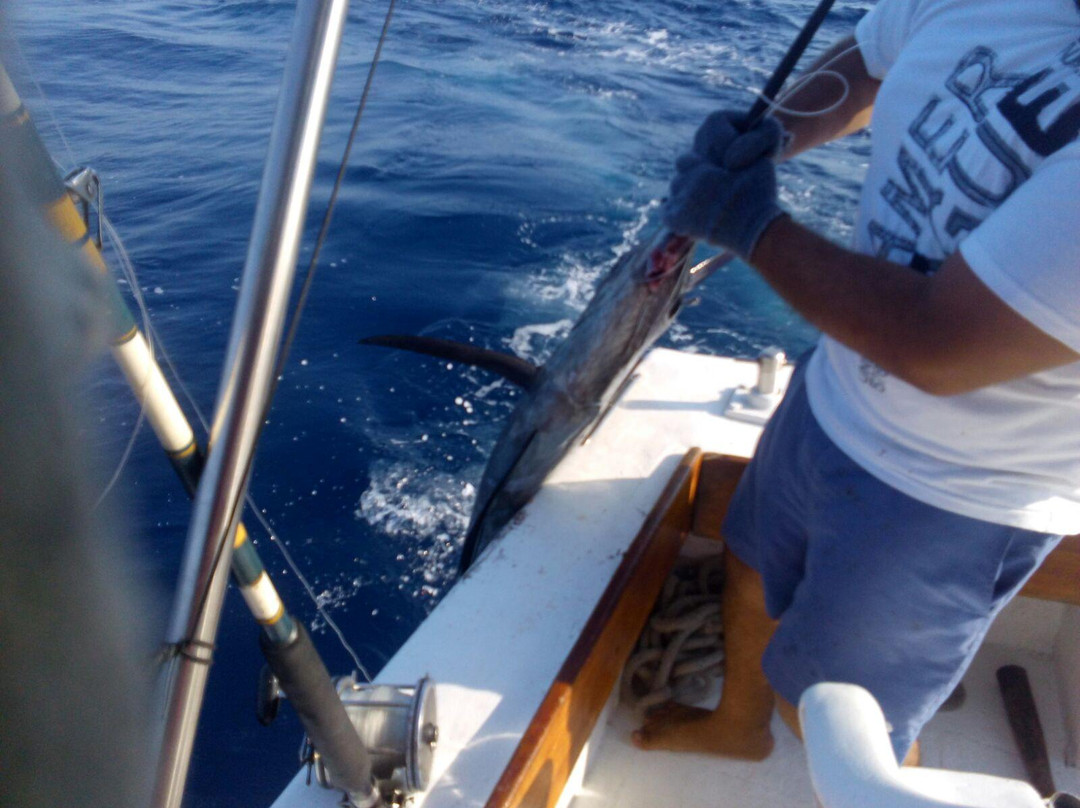 Renta de Lanchas-曼萨尼约必去景点