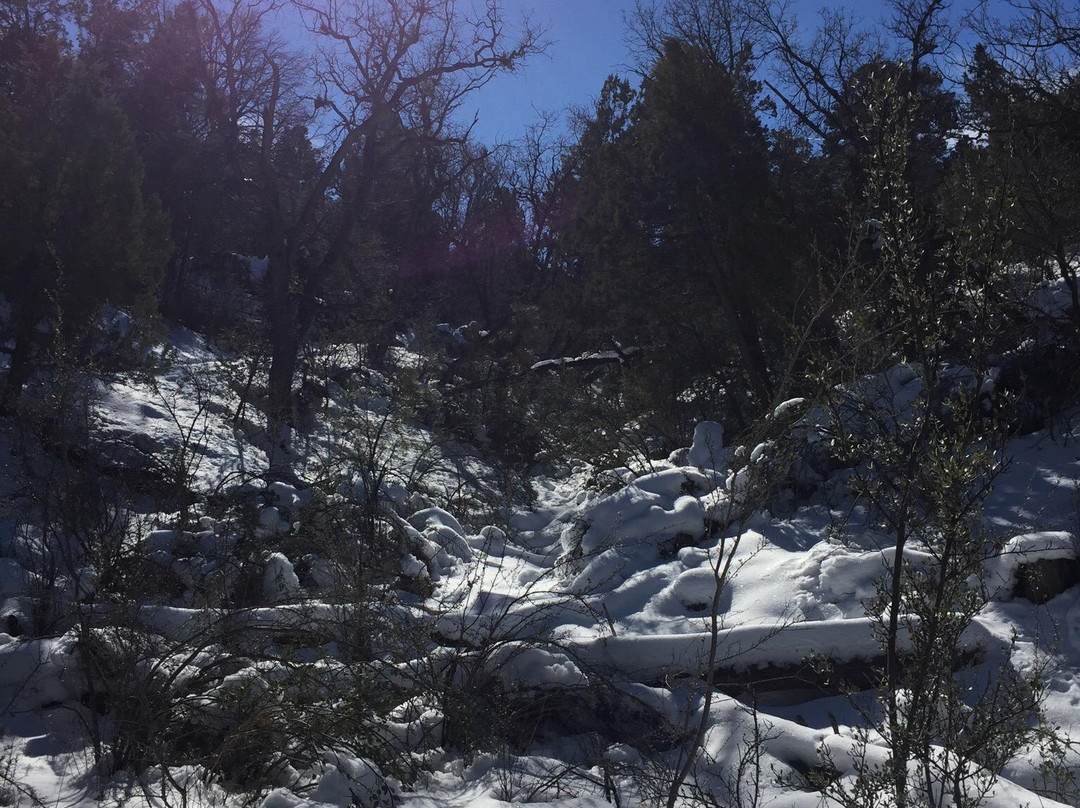 Thumb Butte Trail 33-普雷斯科特必去景点
