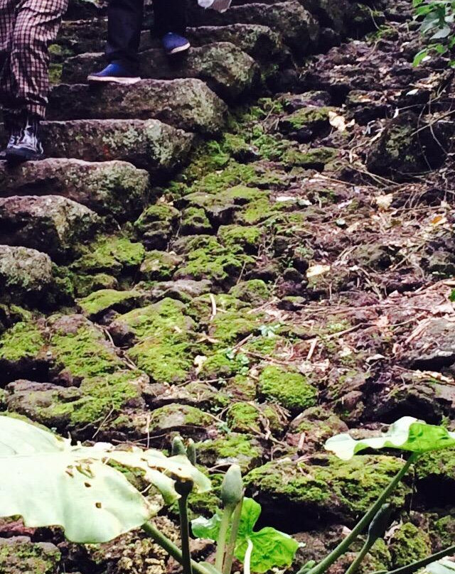 雷琼世界地质公园-海口市必去景点