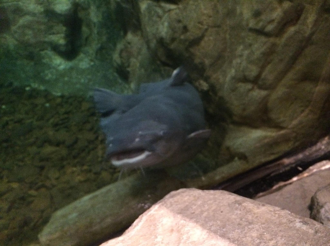 Bass Pro Shops-Spanish Fort必去景点