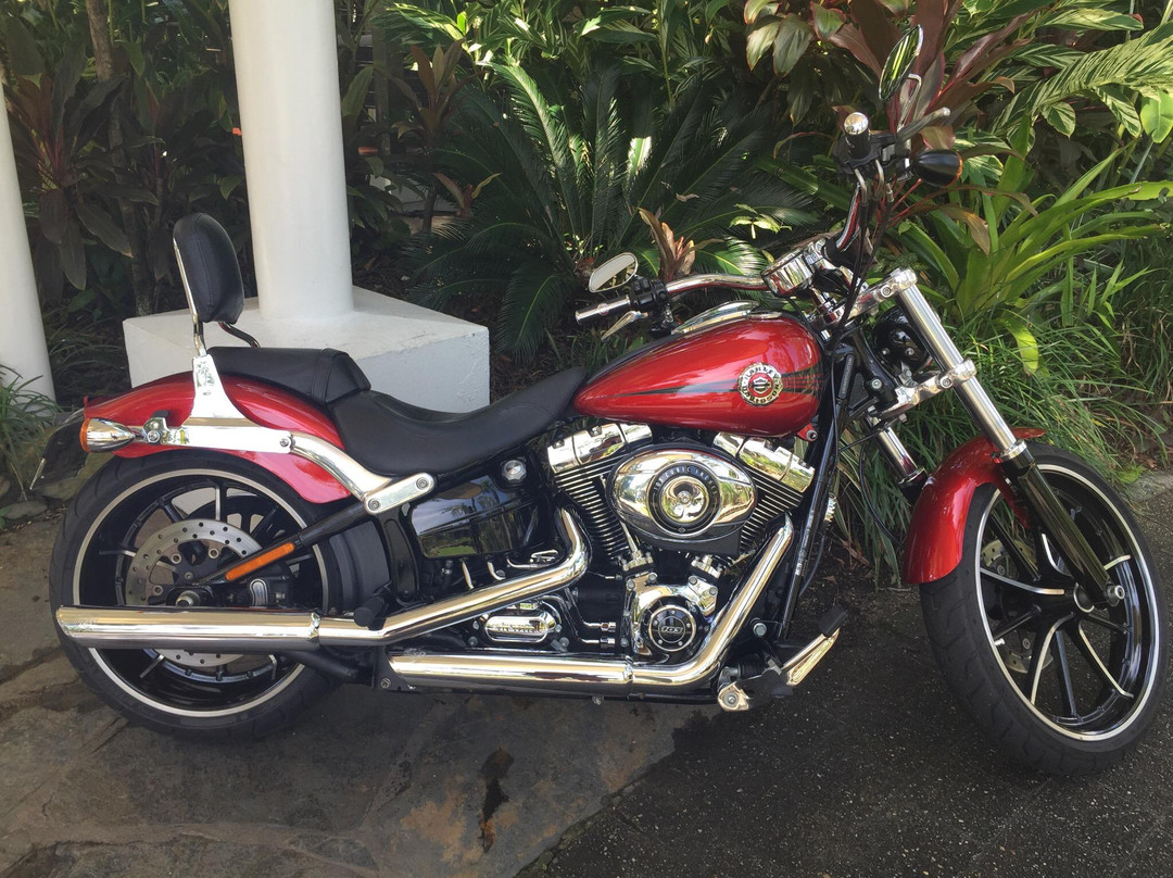 Harley Tours Cairns-凯恩斯必去景点