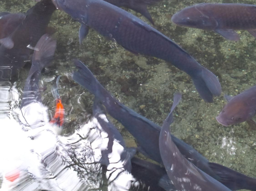 Kannami-ji Temple-山形市必去景点