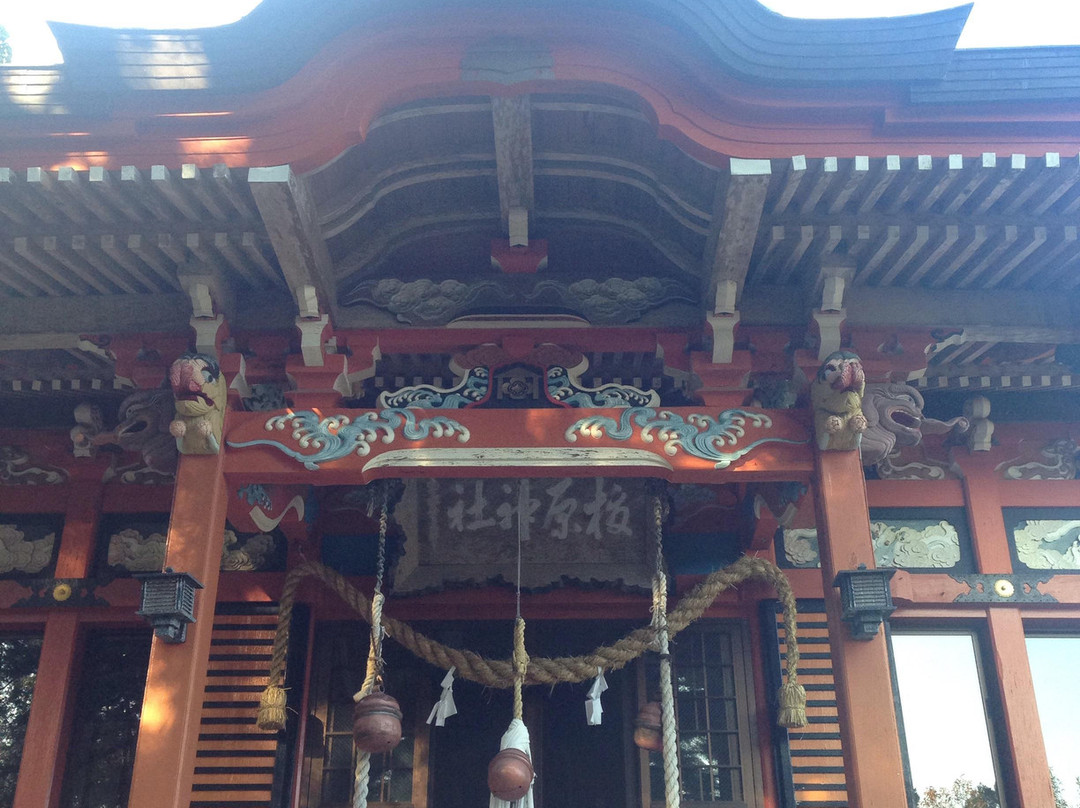 Yowara Shrine-日南市必去景点