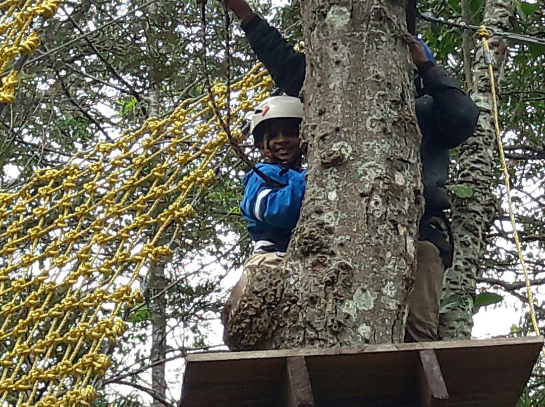 TreeTop Adventure Park景点图片