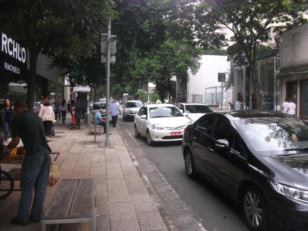 Rua Oscar Freire Shopping Street景点图片