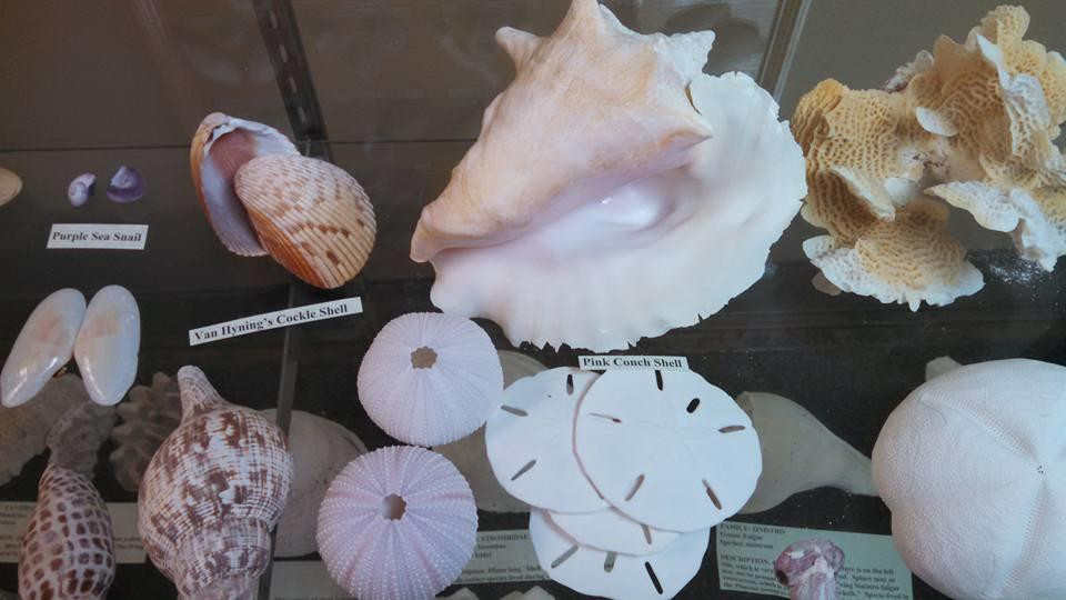 Sugarland Tours-克莱维斯顿必去景点