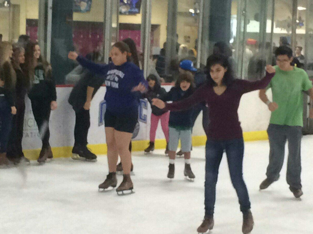 RDV Sportsplex Ice Den-奥兰多必去景点