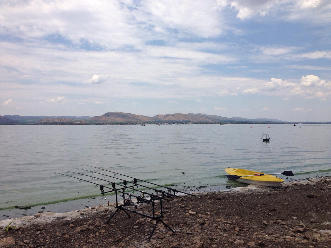 Toro Ya Me-Schoemansville必去景点