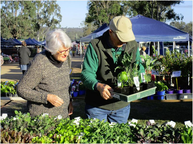 Blackbutt旅游景点-Nanango Country Market