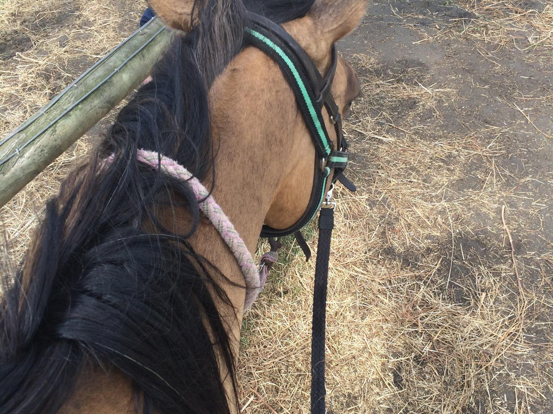 Aboutriding. Co. Nz-穆里怀海滩必去景点