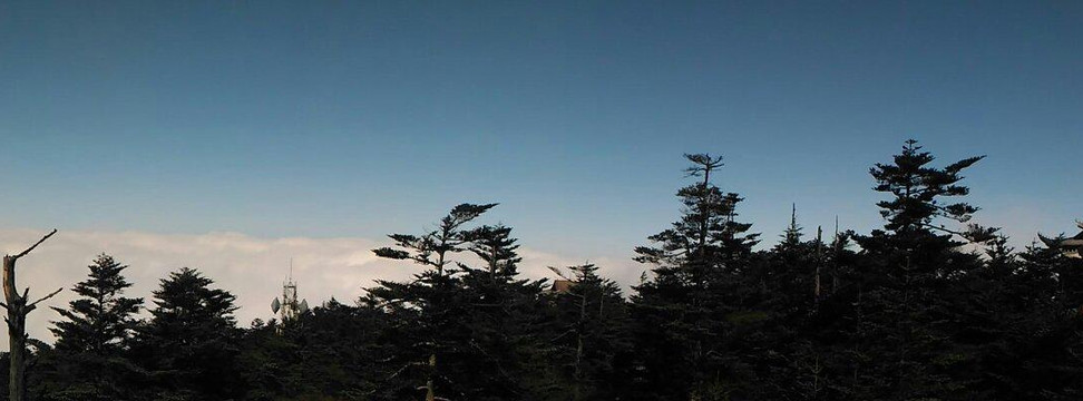 峨眉山饭店·禅悦（成都武侯祠华西医院店）主图