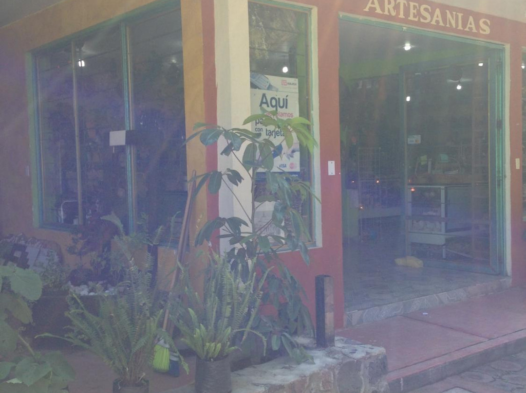 Telpochcalli Hotel & Temazcal主图