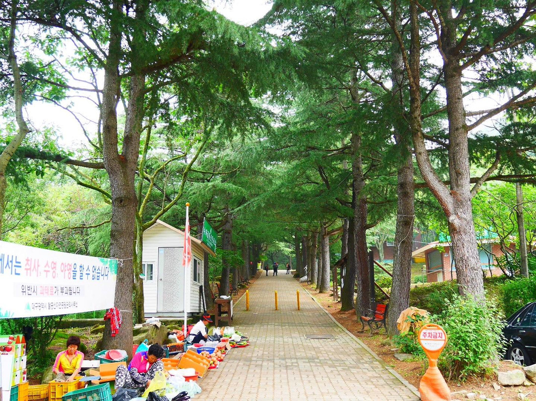 Palgongsan Provincial Park-永州市必去景点