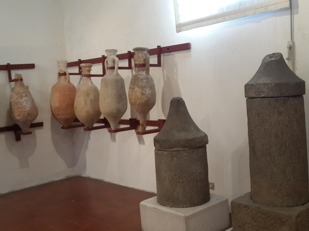 Museo Lapidario景点图片