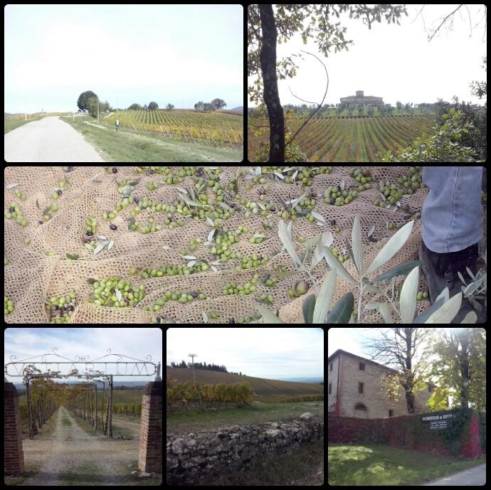 Siena Bike Rentals-锡耶纳必去景点