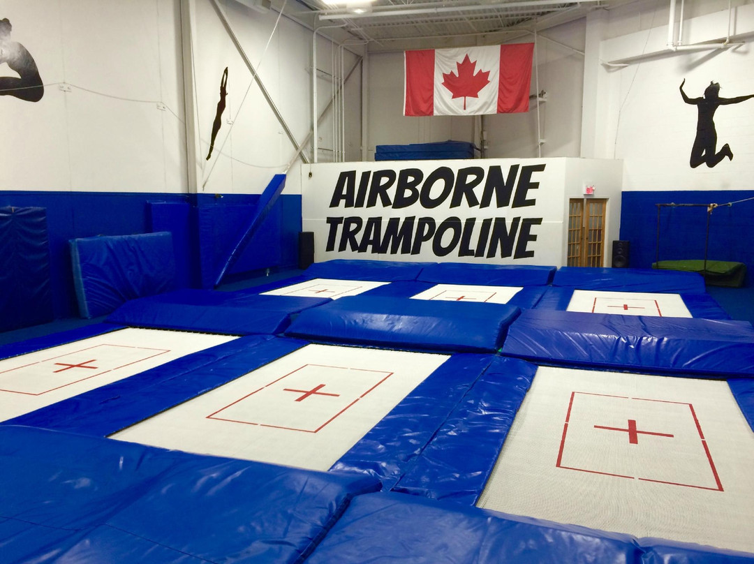 Airborne Trampoline Woodbridge景点图片