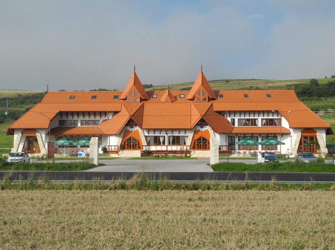 Bonanza Pensiune & Restaurant