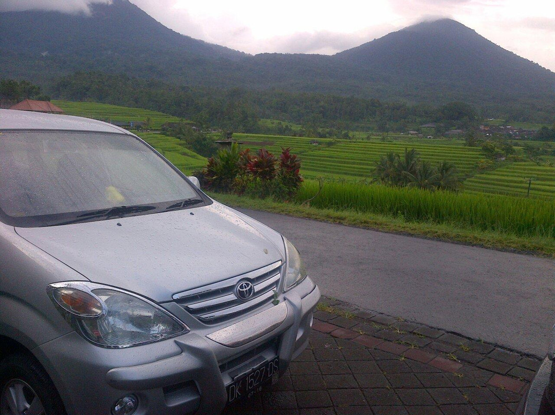 Junas Bali Tour - Day Tours景点图片