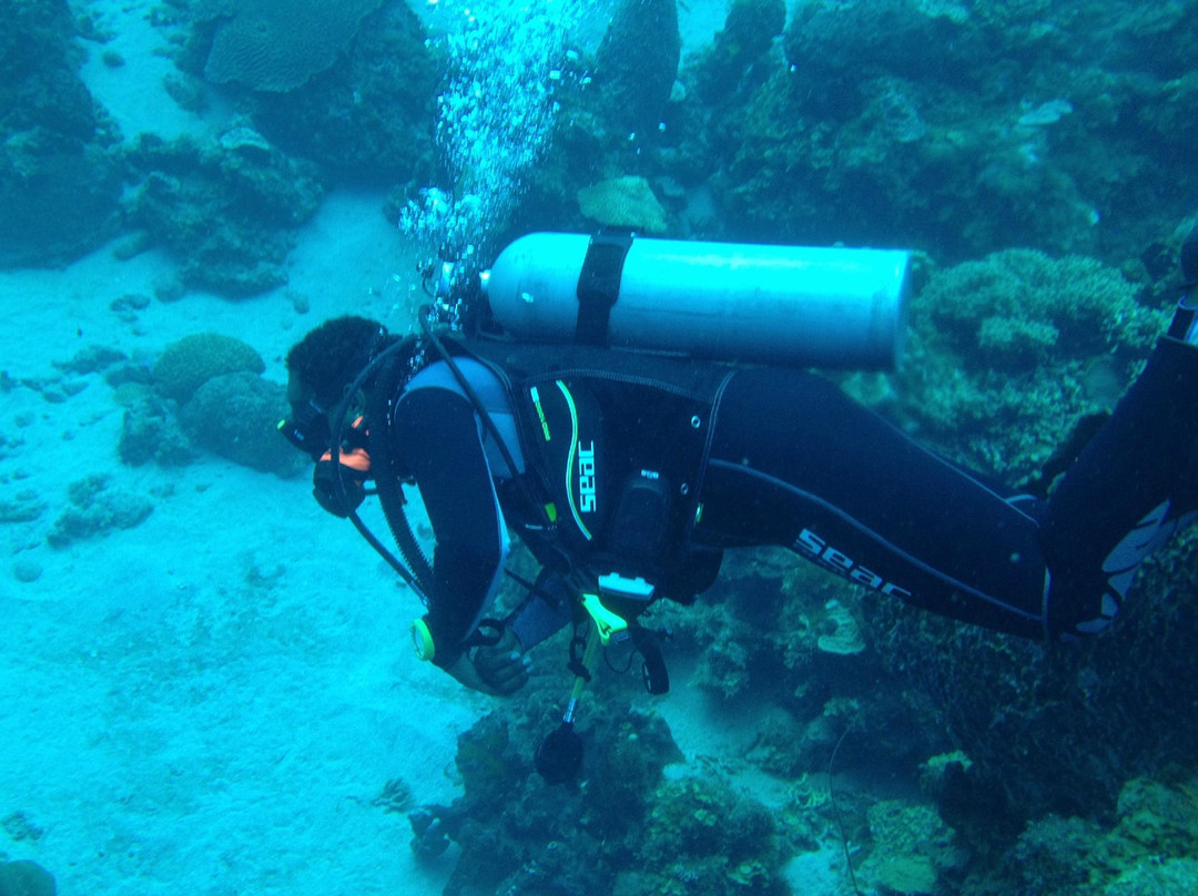 Buddy Dive on Dominica景点图片