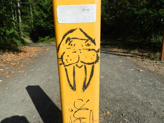 Larry Scott Memorial Trail景点图片