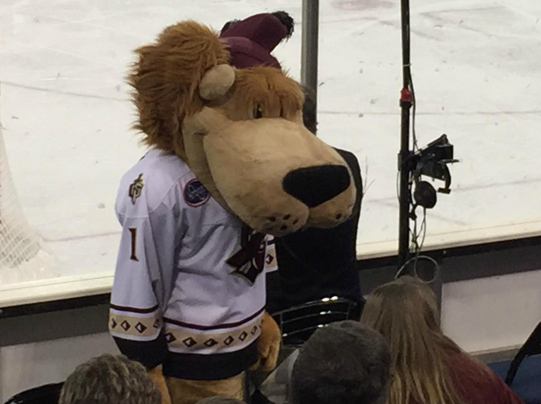 Gwinnett Center-杜鲁斯必去景点