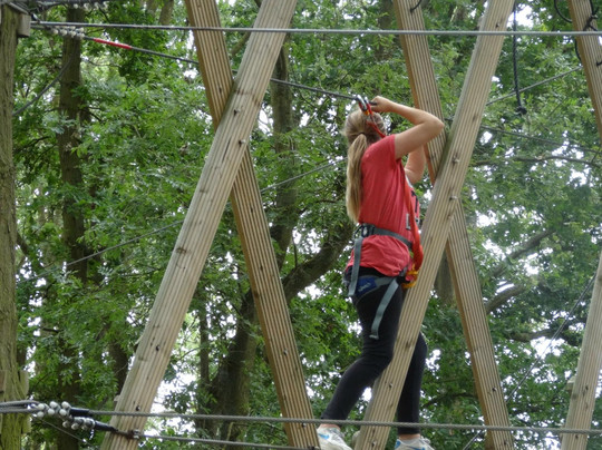 Jungle Parc - Northampton-韦灵伯勒必去景点