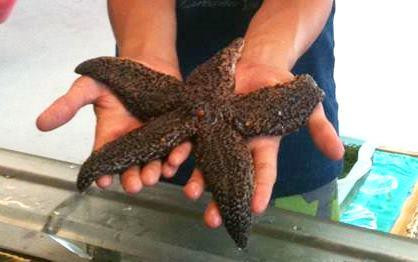 Blue Ocean Discovery Center-汉普顿必去景点