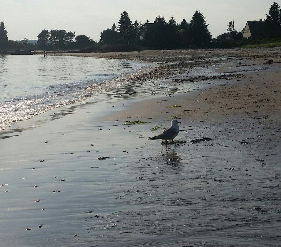 Pemaquid Beach Park景点图片