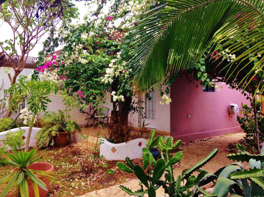 Reiki Cozumel-San Miguel de Cozumel必去景点