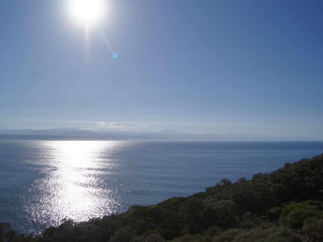 Robberg Nature Reserve-普利登堡湾必去景点