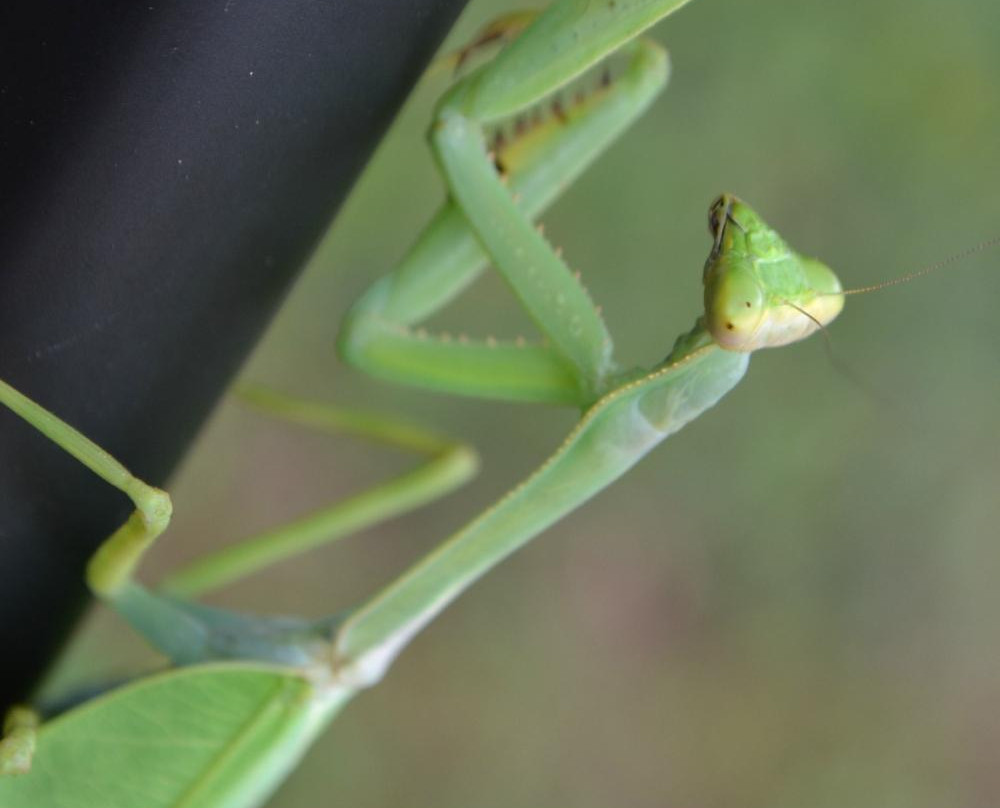 Parque do Tucuma-Rio Branco必去景点