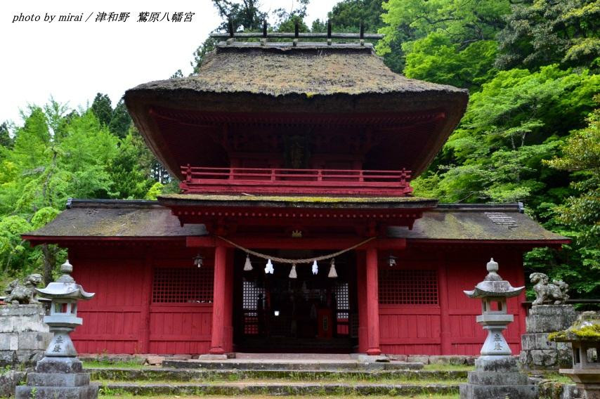 Washibara Hachiman Shrine-津和野町必去景点