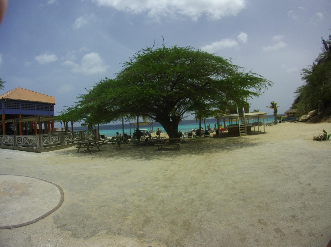 Kokomo Beach-威廉斯塔德必去景点