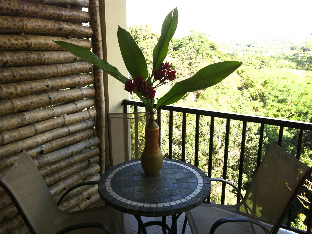 The Terraces at Rincon主图