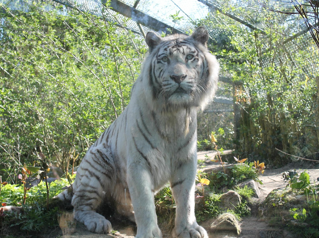 DierenPark Amersfoort