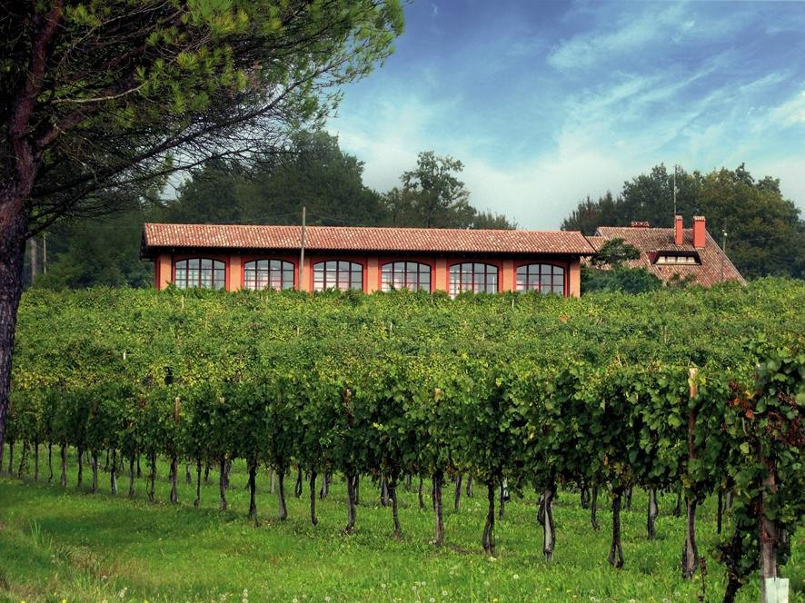 Dorigo Winery景点图片