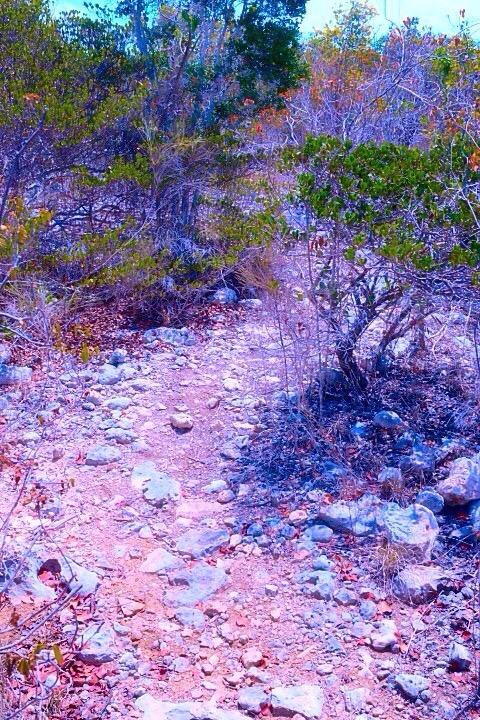 Bird Rock Point Trail-Long Bay Beach必去景点