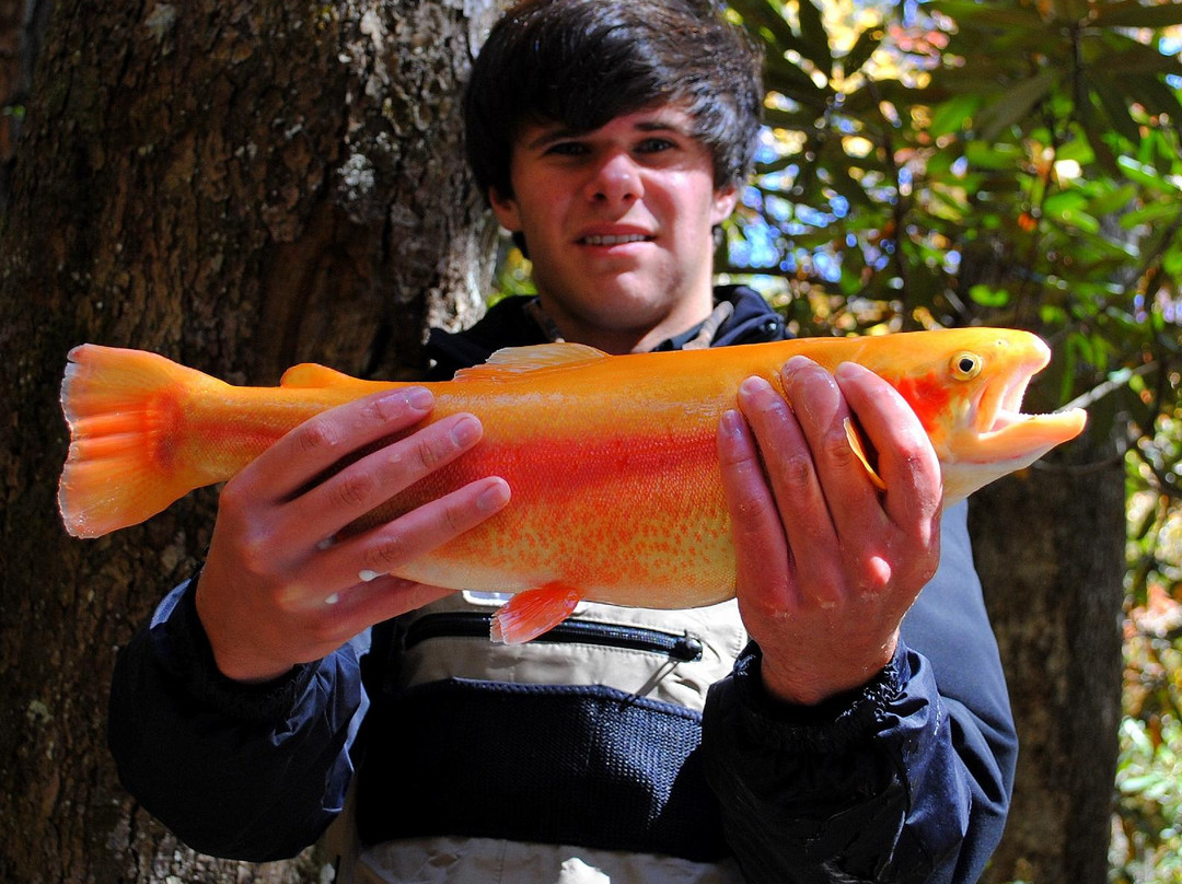 Fly Fishing the Smokies-布赖森城必去景点