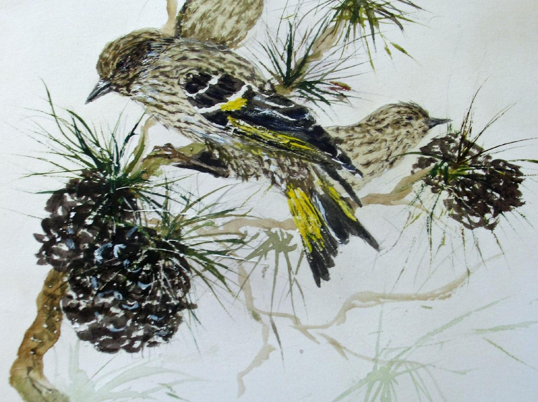 Elizabeth Ellison Gallery景点图片