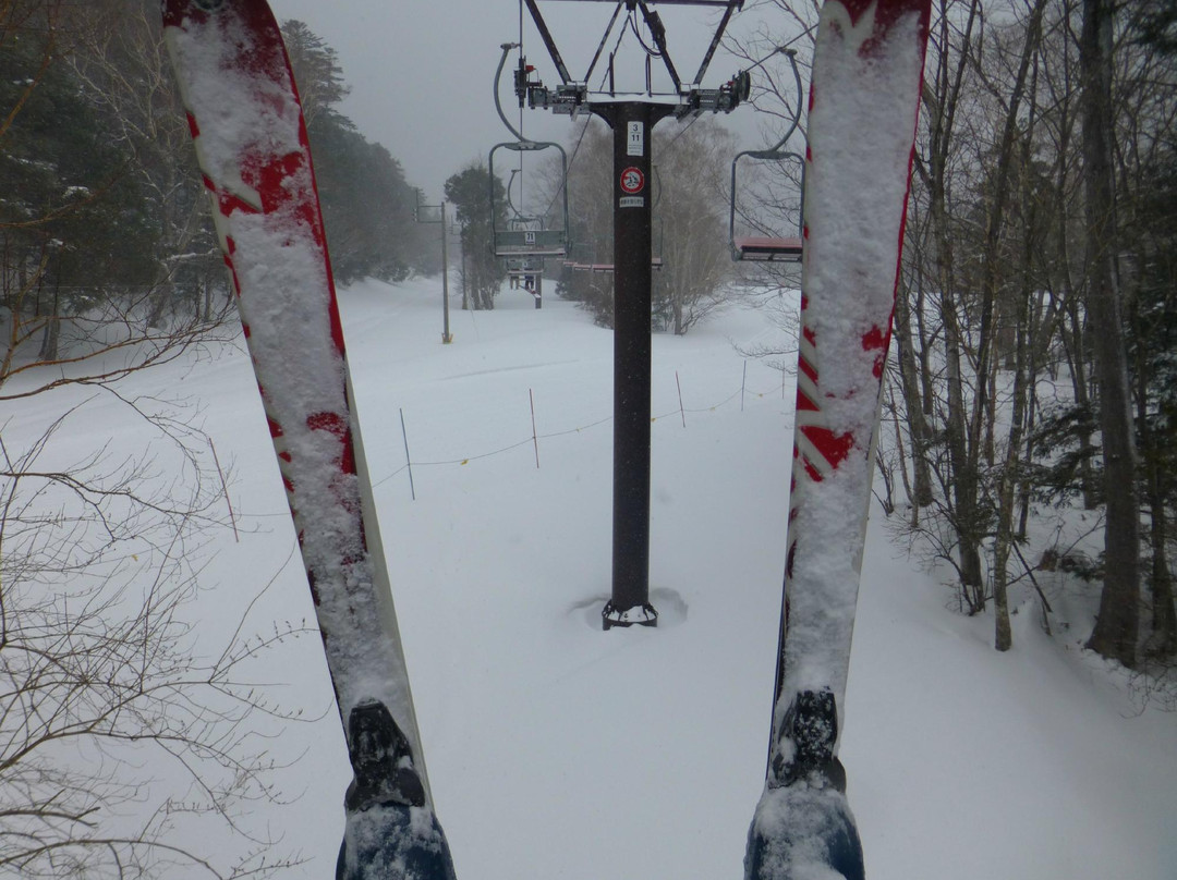 Nikko Yumoto Onesen Ski Resort-日光市必去景点