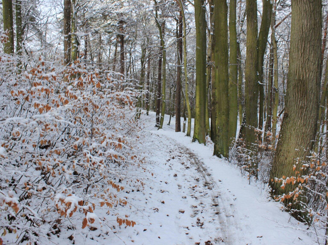 Trojmiejski Landscape Park景点图片