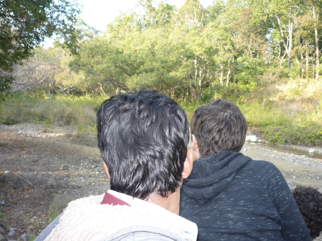 Wahoe India Travels & Tours - Private Tours景点图片