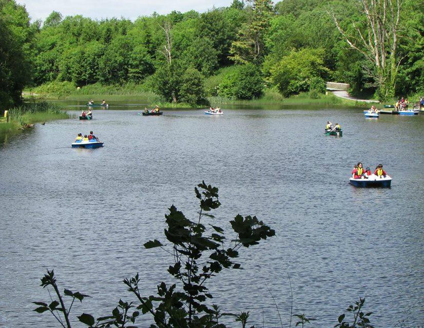 Castlecomer Discovery Park-Ardra必去景点