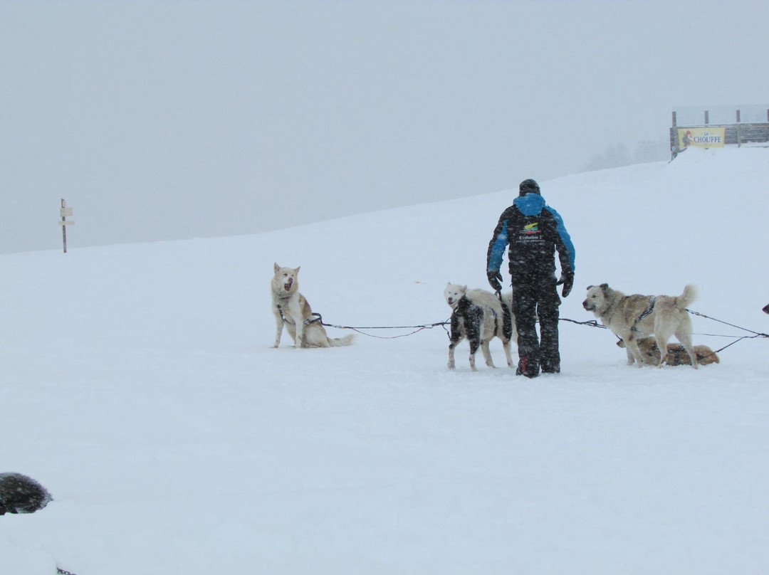 Chiens de Traîneaux-Macot-la-Plagne必去景点